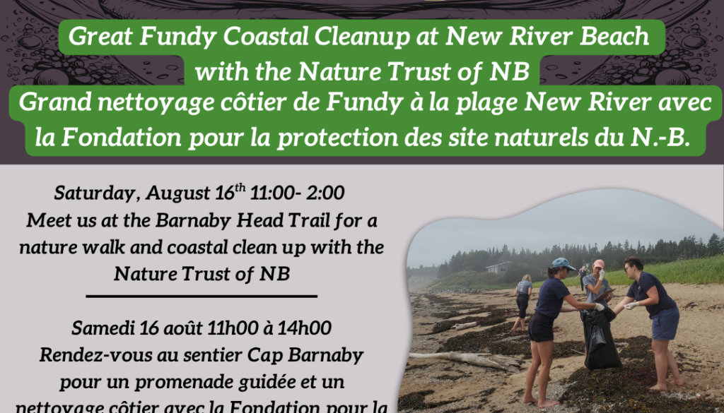 Nettoyage côtier de Fundy